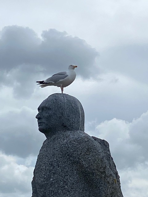 goéland.jpg