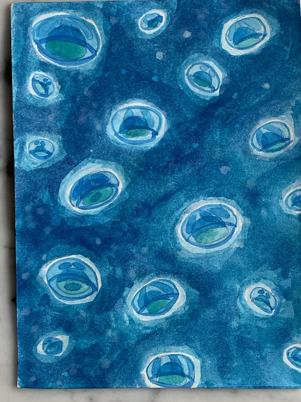 meduses.jpg